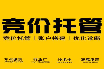 体育行业SEM服务的营销技巧与成功案例